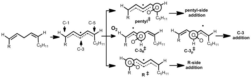 Scheme 4