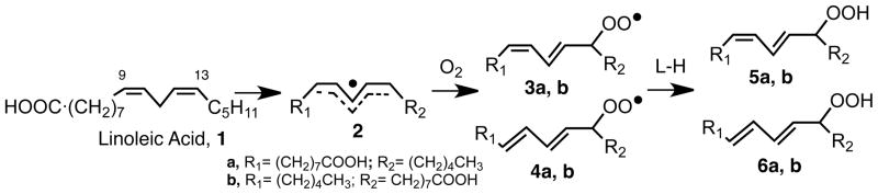 Scheme 2