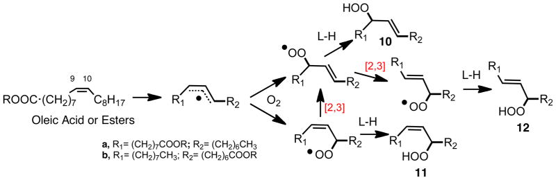 Scheme 6