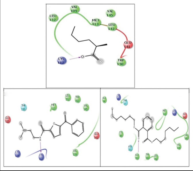 Figure 5b