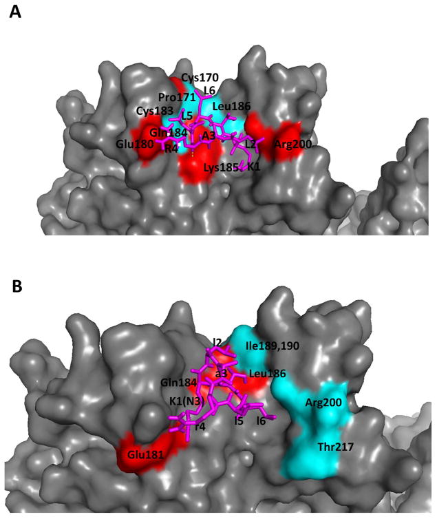 Fig. 8