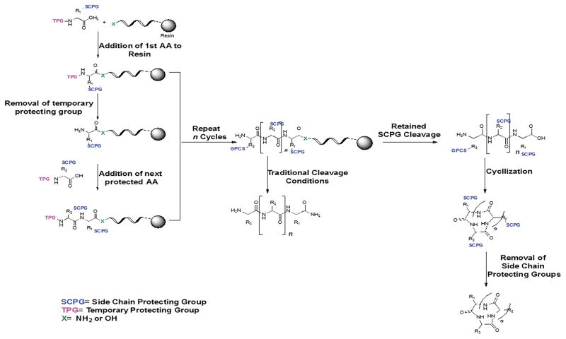 Scheme 1