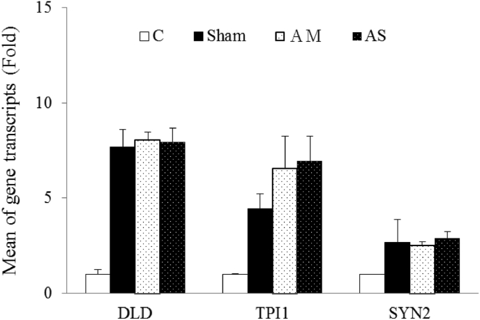 Fig. 3