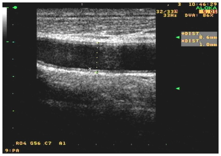 Figure 2.