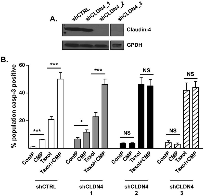 Figure 3: