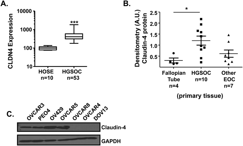 Figure 1: