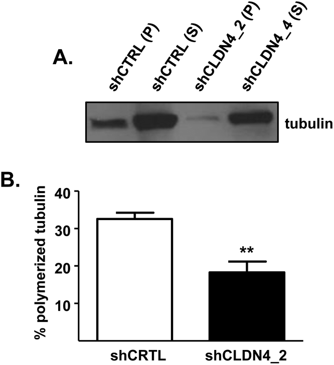 Figure 7: