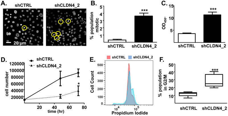 Figure 5: