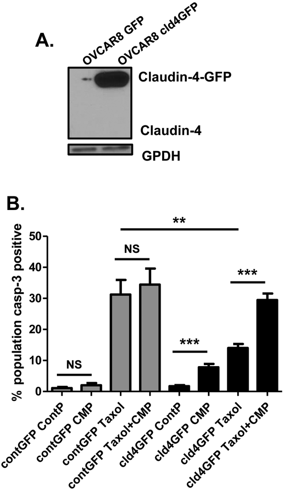 Figure 4: