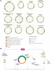 Figure 6. RNA-seq and RPPA integration by SAMNet identifies SY-1365 perturbed pathways in a multidimensional fashion. A, Integration of RNA-seq and RPPA data of ER-WT/ER-mutant (MCF7 WT/MCF7 DOX-Y537S) and PalboS/PalboR MCF7 and T47D cells treated with SY-1365 50 nmol/L compared with their respective vehicle controls together with a reference interactome dataset using SAMNet. Louvain clusters of the filtered SAMNet output network with at least 25 nodes are shown. Colors represent whether a node (gene/protein) is taken from one of the treatment contrasts, the interactome, or a combination of these. Shapes indicate the data source: transcriptomic data (sink transcriptomics), proteomic data (source proteomics), transcriptomic and proteomic data (sink transcriptomics, source proteomics), reference dataset ± transcriptomic and proteomic data (interactome). Pathway analysis (Fisher exact test, Hallmark dataset in enrichR) was used to identify the top functions specifically associated to each cluster. B, Model of the effect of CDK7 inhibition in ER+ breast cancer cells.