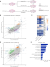 Figure 4. Genome-wide CRISPR/Cas9 KO screen on PalboS and PalboR T47D cells. A, Scheme of the CRISPR/Cas9 KO library screening experimental workflow. B, Scatterplot comparing genome-wide CRISPR/Cas9 KO screens performed in T47D PalboS cells treated with palbociclib 100 nmol/L and T47D PalboS control cells. The two diagonal lines indicate ±1.5 SD of the β-score values of the T47D PalboS control and the T47D palbociclib-treated cells. C, β-score values of cell cycle and ER+ breast cancer–related genes (P < 0.001 by permutation test, highlighted in rectangles). D, Scatterplot comparing genome wide CRISPR/Cas9 KO screens performed in PalboR T47D cells maintained with palbociclib 1 μmol/L and T47D PalboS control cells. The two diagonal lines indicate ±1.5 SD of the β-score values of the T47D PalboS control and the T47D PalboR cells. E, Pathway analysis of the essential genes (β-score <−1). The top 10 Hallmark pathways enriched in T47D PalboR cells are shown.