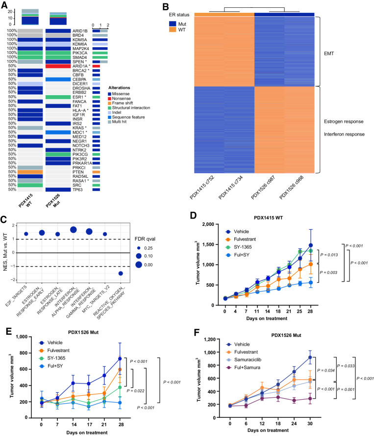 Figure 2. Molecular features of sensitivity to CDK7 inhibitors in ER-WT and Y537S ER-mutant breast cancer PDX. A, Oncoprint of high and moderate impact driver mutations detected by WES including a custom list of breast cancer–related genes. *, Denotes pathogenic mutations. B, Sample-feature RNA-seq clustering heat map (k-means 2) of the 1,000 top differentially expressed genes of untreated ER-WT (PDX1415) and Y537S ER-mutant (PDX1526) PDX. Two representative tumors/PDX are shown. Top enriched pathways (by gene ontology) of the differentially expressed genes are shown. C, GSEA from the untreated ER-mutant PDX1526 versus the untreated ER-WT PDX1415 models. Only the Hallmark pathways that are significantly (FDR < 0.25, GSEA weighted Kolmogorov–Smirnov test) positively or negatively enriched by NES are shown. Tumor growth of ER-WT PDX1415 (D) and ER-mutant PDX1526 (E) in presence of vehicle, fulvestrant, SY-1365, and fulvestrant + SY-1365 (Ful+SY) for 28 days. P values are based on mixed modeling with Tukey multiple comparisons test. F, Tumor growth of ER-mutant PDX1526 in presence of vehicle, fulvestrant, samuraciclib (samura), and fulvestrant + samuraciclib (Ful+samura) for 28 days (mixed modelling with Tukey multiple comparisons test). Only significant P values are denoted.