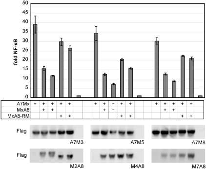 Figure 6