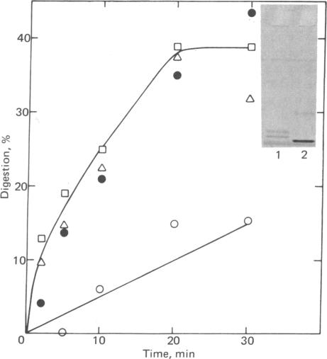 graphic file with name pnas00667-0103-a.jpg