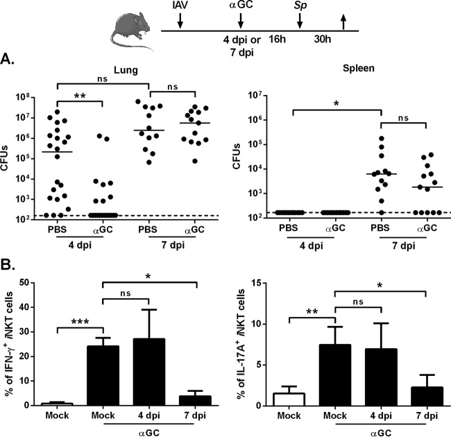 FIG 2 