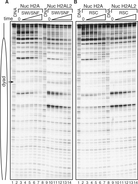 Figure 7.