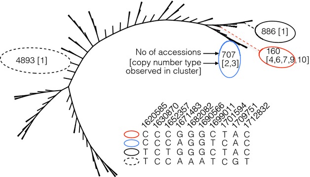 Fig 6