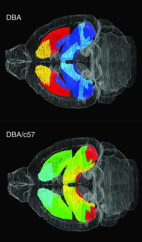 FIG. 3.