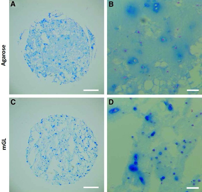 FIG. 6.