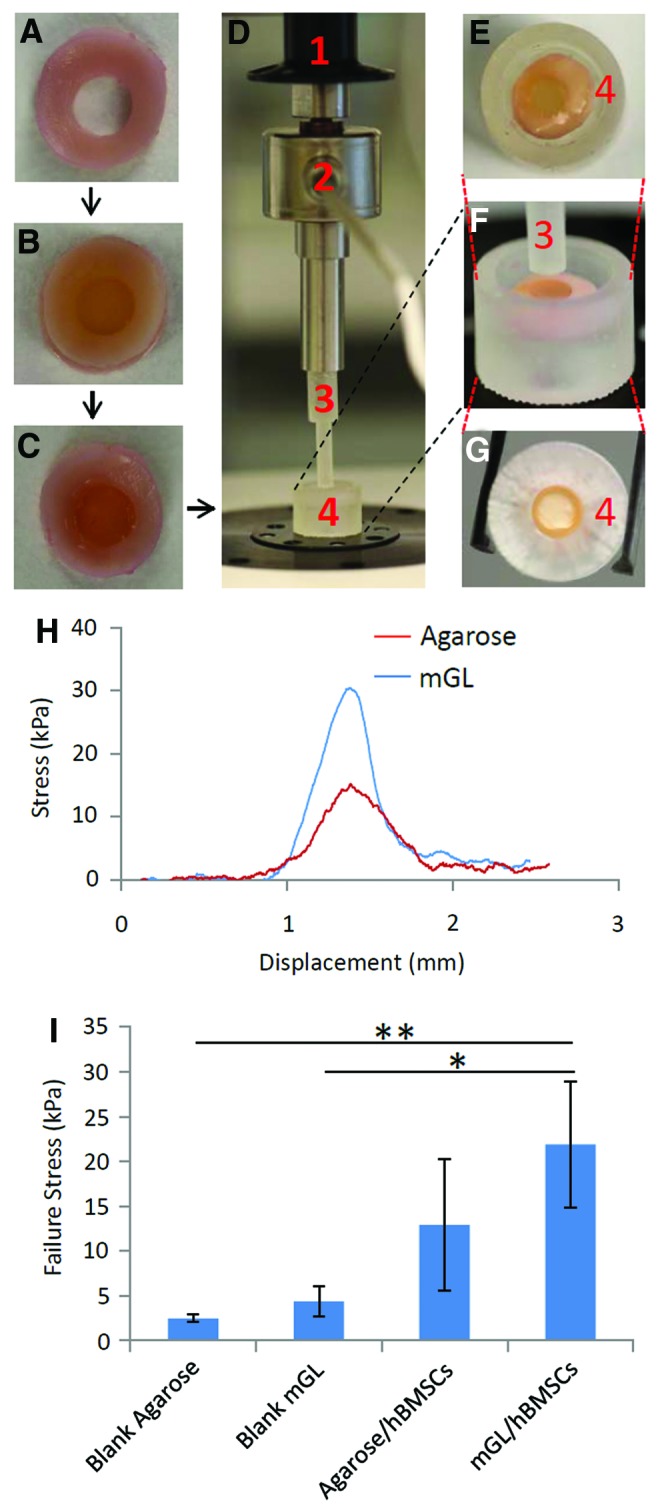 FIG. 8.