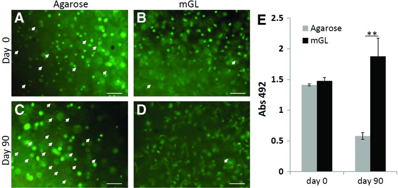 FIG. 3.