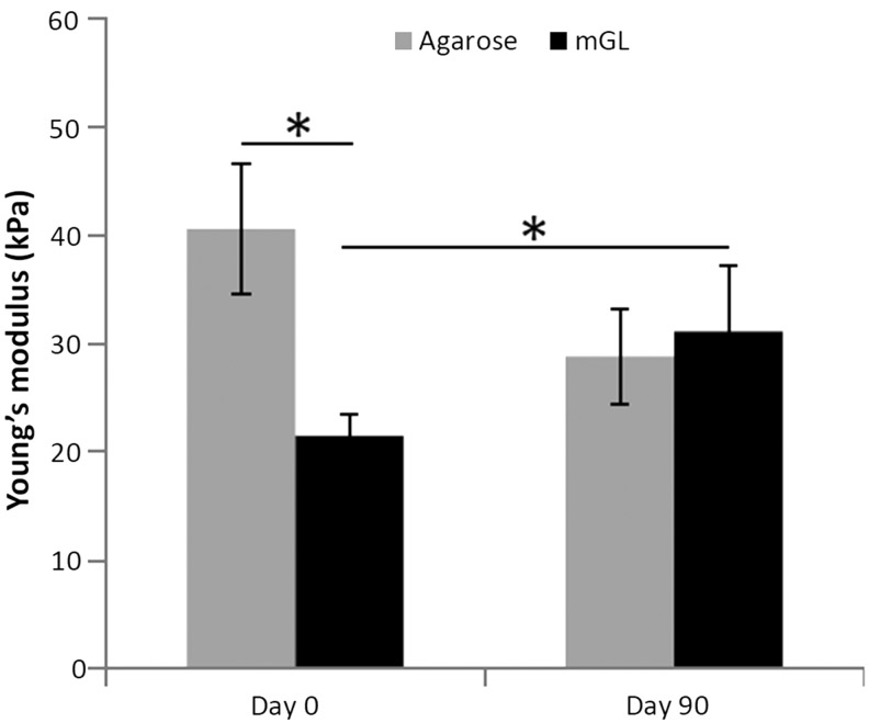 FIG. 7.