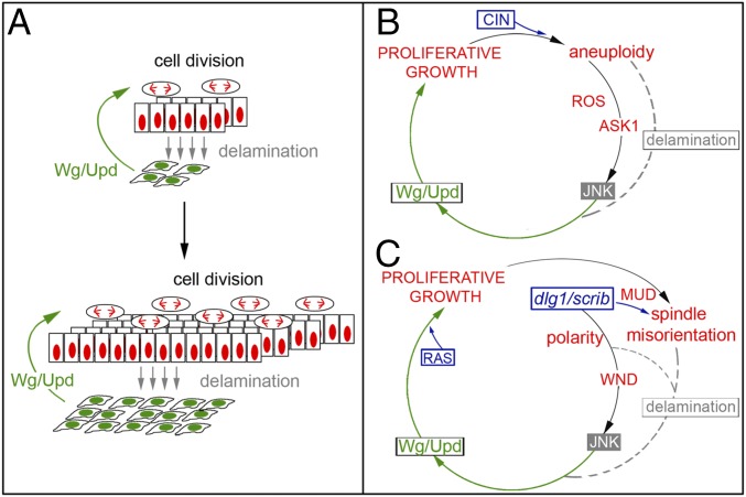 Fig. 10.