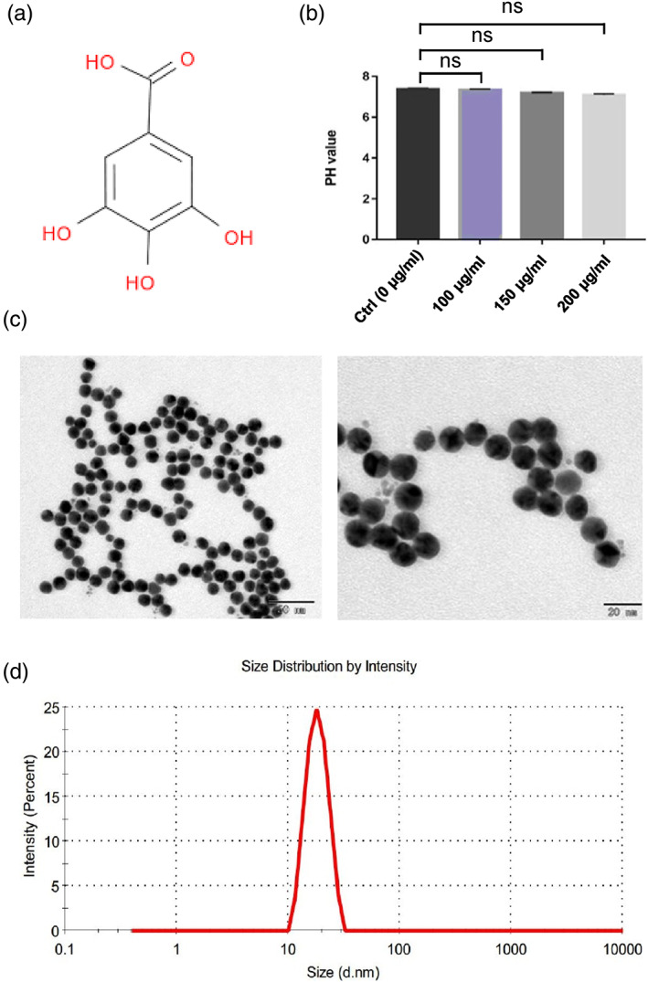 FIGURE 1