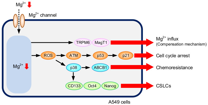 Figure 9