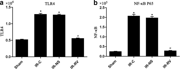 Fig. 8