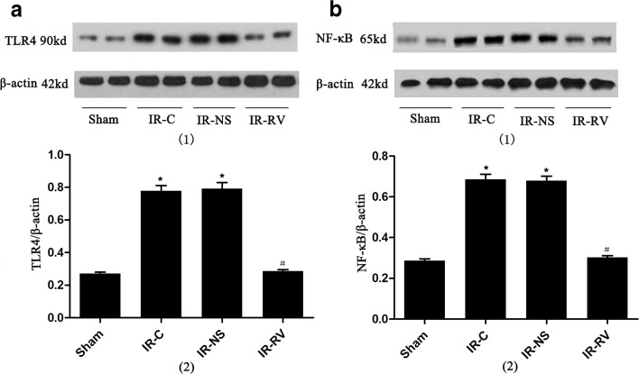 Fig. 9