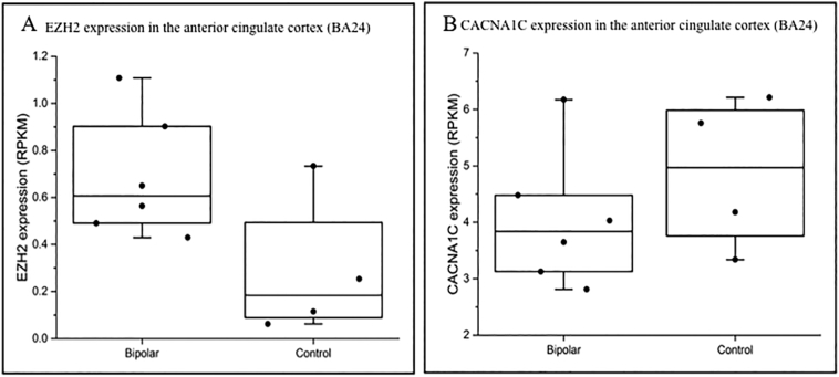 Supplementary Fig. 4