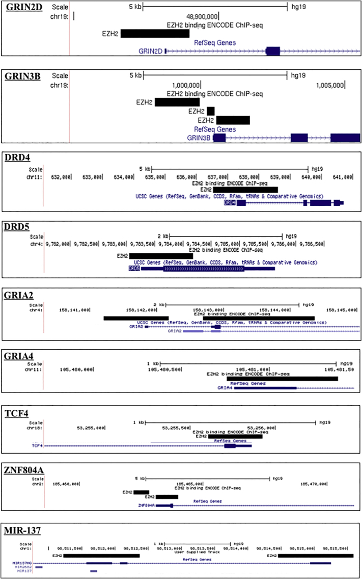 Supplementary Fig. 1