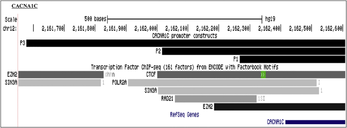 Supplementary Fig. 3