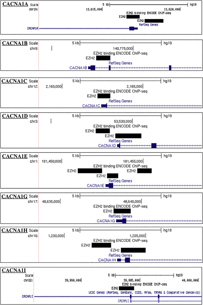 Supplementary Fig. 1