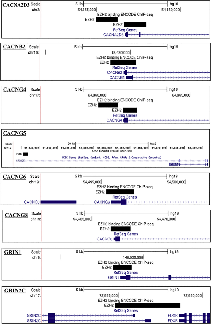 Supplementary Fig. 1