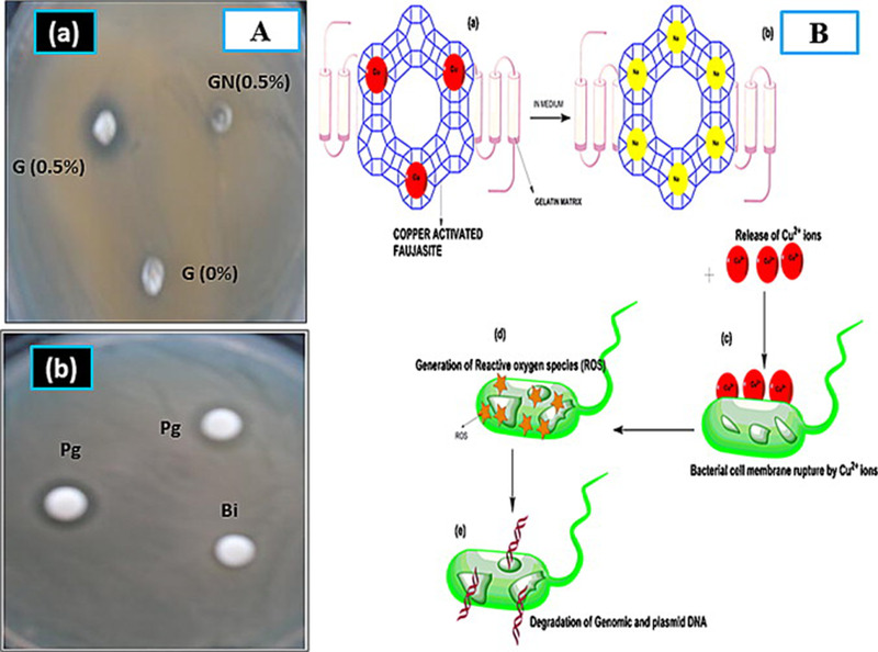 FIGURE 12