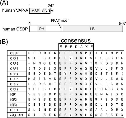 FIGURE 1.