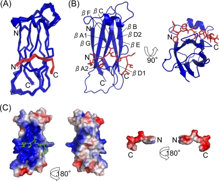 FIGURE 2.