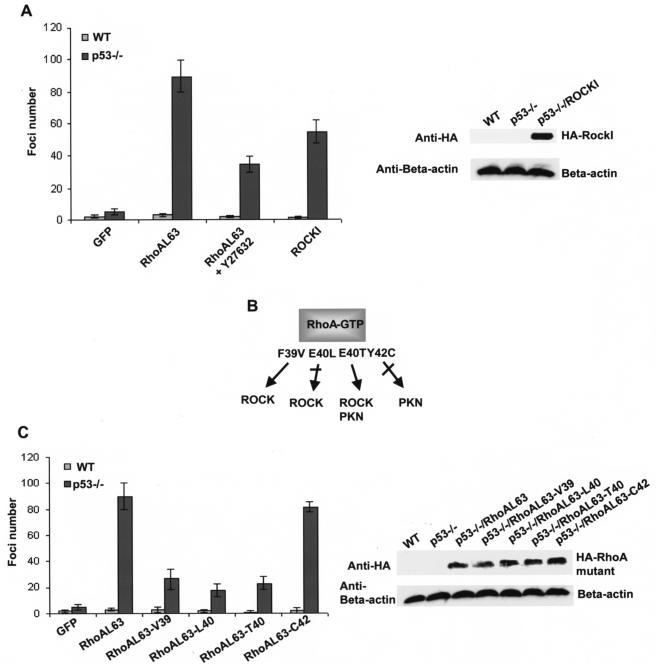 FIG. 8.