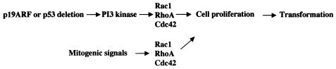 FIG. 9.