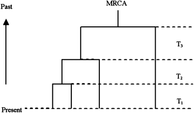 FIG. 1.