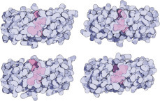 graphic file with name u05-04-9780128012246.jpg