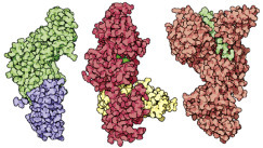 graphic file with name u05-32c-9780128012246.jpg