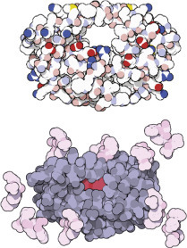 graphic file with name u05-03-9780128012246.jpg