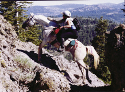 graphic file with name u05-42-9780128012246.jpg