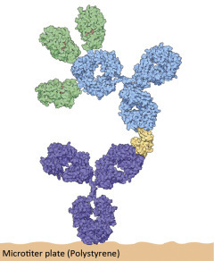 graphic file with name u05-41-9780128012246.jpg