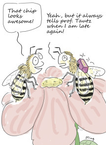 graphic file with name u05-51-9780128012246.jpg