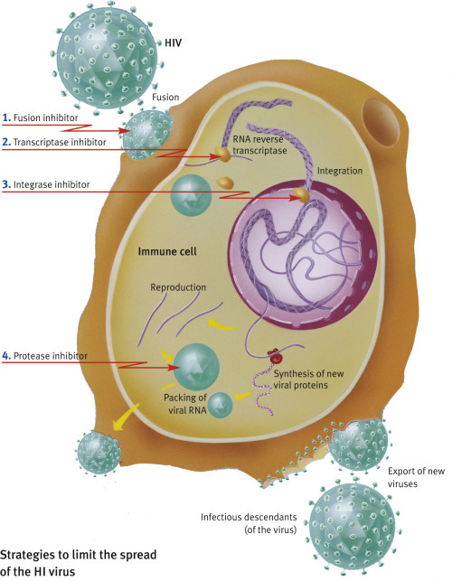 graphic file with name u05-02-9780128012246.jpg