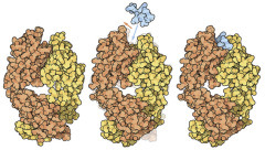 graphic file with name u05-40-9780128012246.jpg